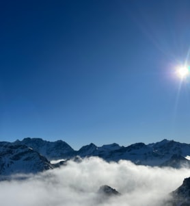 Resilient Markets in a Challenging Year